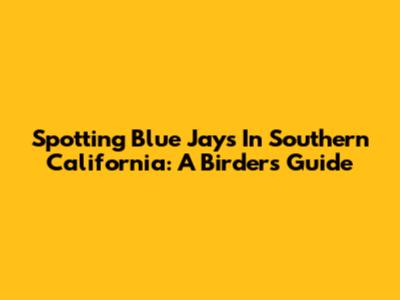 Spotting Blue Jays In Southern California: A Birder's Guide