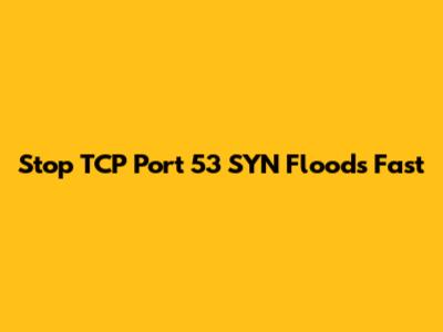 Stop TCP Port 53 SYN Floods Fast