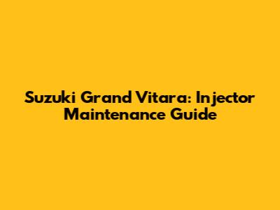 Suzuki Grand Vitara: Injector Maintenance Guide