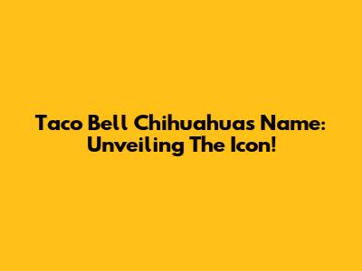 Taco Bell Chihuahua's Name: Unveiling The Icon!