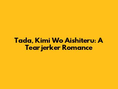 Tada, Kimi Wo Aishiteru: A Tearjerker Romance