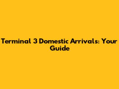 Terminal 3 Domestic Arrivals: Your Guide