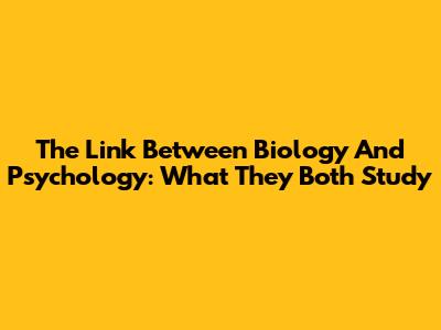 The Link Between Biology And Psychology: What They Both Study
