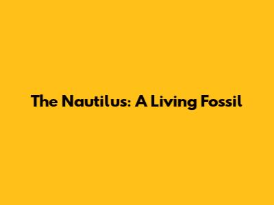The Nautilus: A Living Fossil