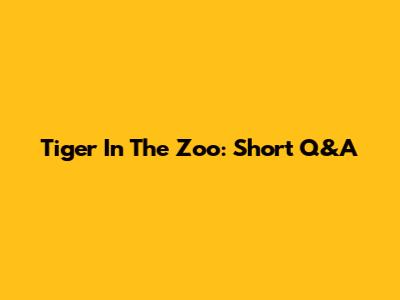 Tiger In The Zoo: Short Q&A