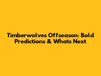 Timberwolves Offseason: Bold Predictions & What's Next