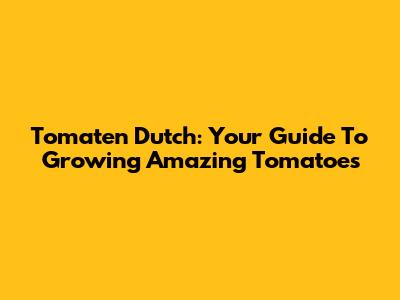 Tomaten Dutch: Your Guide To Growing Amazing Tomatoes