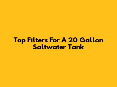Top Filters For A 20 Gallon Saltwater Tank