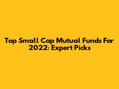Top Small Cap Mutual Funds For 2022: Expert Picks