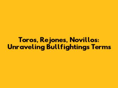 Toros, Rejones, Novillos: Unraveling Bullfighting's Terms