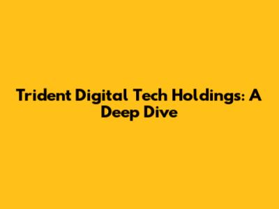 Trident Digital Tech Holdings: A Deep Dive