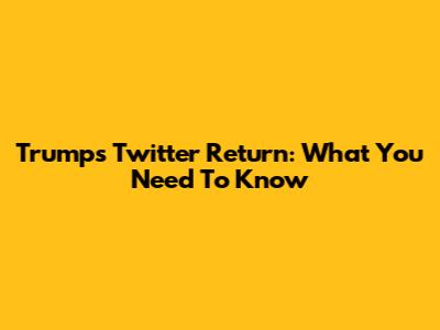 Trump's Twitter Return: What You Need To Know