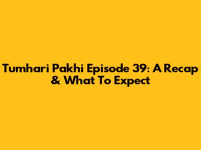 Tumhari Pakhi Episode 39: A Recap & What To Expect