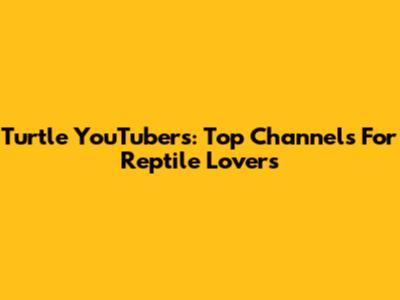 Turtle YouTubers: Top Channels For Reptile Lovers