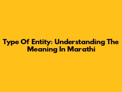 Type Of Entity: Understanding The Meaning In Marathi