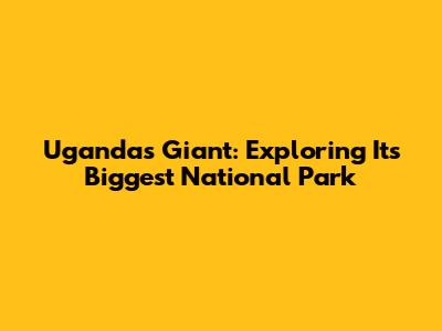 Uganda's Giant: Exploring Its Biggest National Park