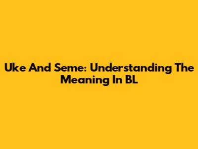 Uke And Seme: Understanding The Meaning In BL