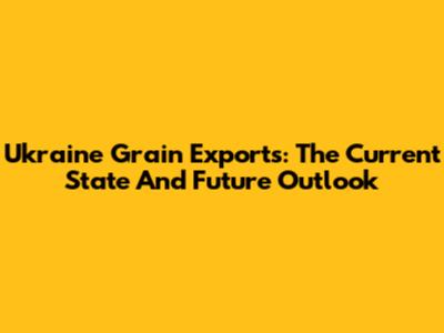Ukraine Grain Exports: The Current State And Future Outlook