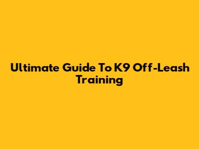 Ultimate Guide To K9 Off-Leash Training