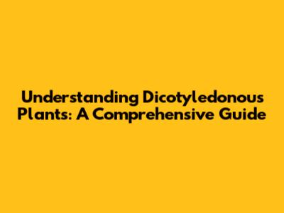 Understanding Dicotyledonous Plants: A Comprehensive Guide