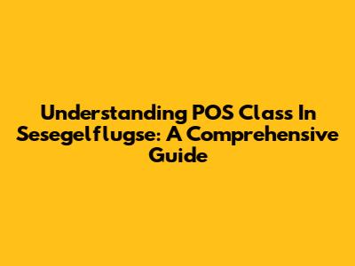 Understanding POS Class In Sesegelflugse: A Comprehensive Guide
