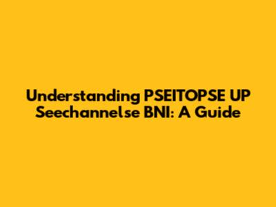 Understanding PSEITOPSE UP Seechannelse BNI: A Guide