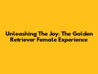 Unleashing The Joy: The Golden Retriever Female Experience