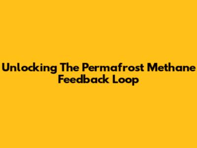 Unlocking The Permafrost Methane Feedback Loop