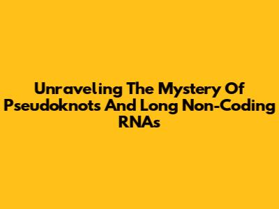 Unraveling The Mystery Of Pseudoknots And Long Non-Coding RNAs