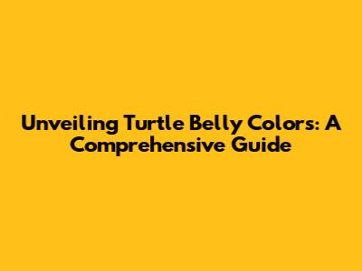 Unveiling Turtle Belly Colors: A Comprehensive Guide