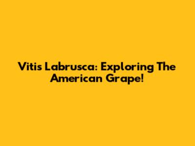 Vitis Labrusca: Exploring The American Grape!