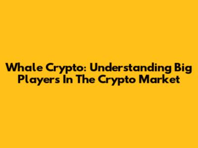 Whale Crypto: Understanding Big Players In The Crypto Market