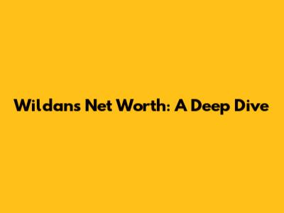 Wildan's Net Worth: A Deep Dive