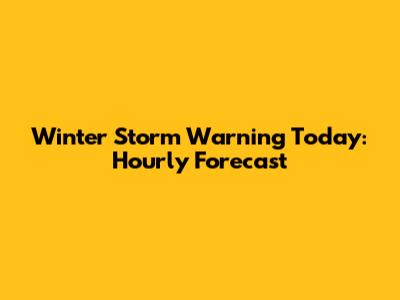 Winter Storm Warning Today: Hourly Forecast