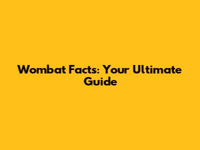 Wombat Facts: Your Ultimate Guide
