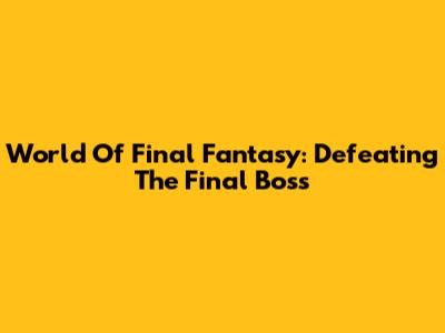 World Of Final Fantasy: Defeating The Final Boss