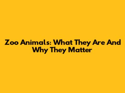Zoo Animals: What They Are And Why They Matter